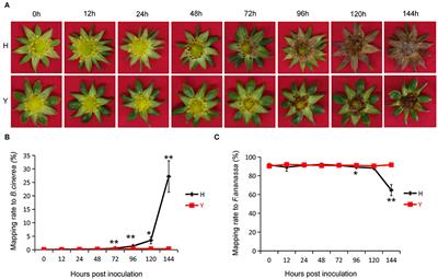 Deciphering the Molecular Signatures Associated With Resistance to Botrytis cinerea in Strawberry Flower by Comparative and Dynamic Transcriptome Analysis